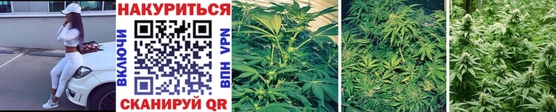 Где продают наркотики Тайга Alpha PVP ГАШИШ МАРИХУАНА Cocaine
