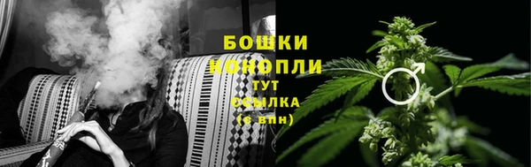 ПСИЛОЦИБИНОВЫЕ ГРИБЫ Арсеньев