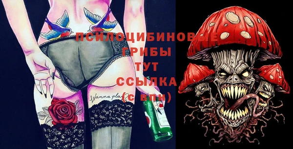 ПСИЛОЦИБИНОВЫЕ ГРИБЫ Арсеньев