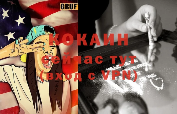 прущие грибы Армянск