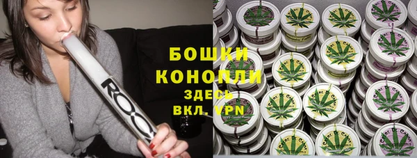 ПСИЛОЦИБИНОВЫЕ ГРИБЫ Арсеньев