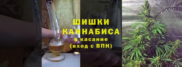 прущие грибы Армянск