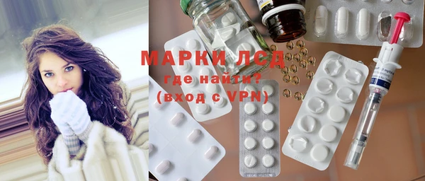 прущие грибы Армянск