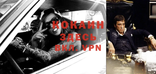 прущие грибы Армянск