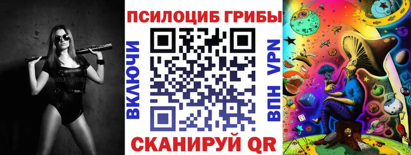 дарнет шоп  кракен зеркало  Псилоцибиновые грибы GOLDEN TEACHER  Тайга 